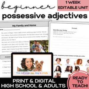 ESL possessive adjectives speaking listening reading writing lessons activities unit assessment for high school secondary adult ESL ELL