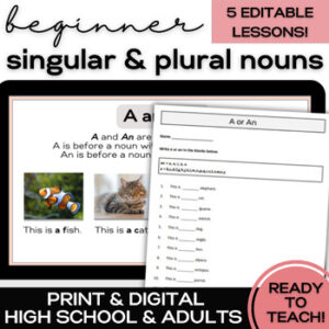 ESL singular and plural nouns speaking listening reading writing lessons activities unit assessment for high school secondary adult ESL ELL