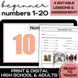 numbers 1-20 ESL unit with lessons activities assessment for high school and adult ELLS