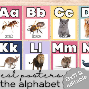 ESL Alphabet Posters - Beginner Newcomer High School & Adult ELL-1