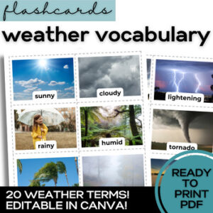 ESL Weather Flash Cards- Vocabulary for High School & Adult Newcomer ELL ELD-1