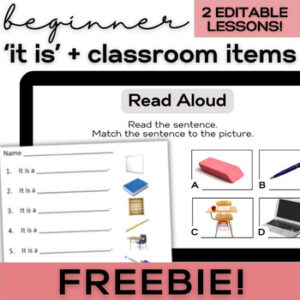 ESL Verb 'To Be' It is- Free Lesson for High School & Adult Beginner ELL-1