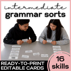 ESL Intermediate Grammar Sorts- High School ELL Newcomer Activities